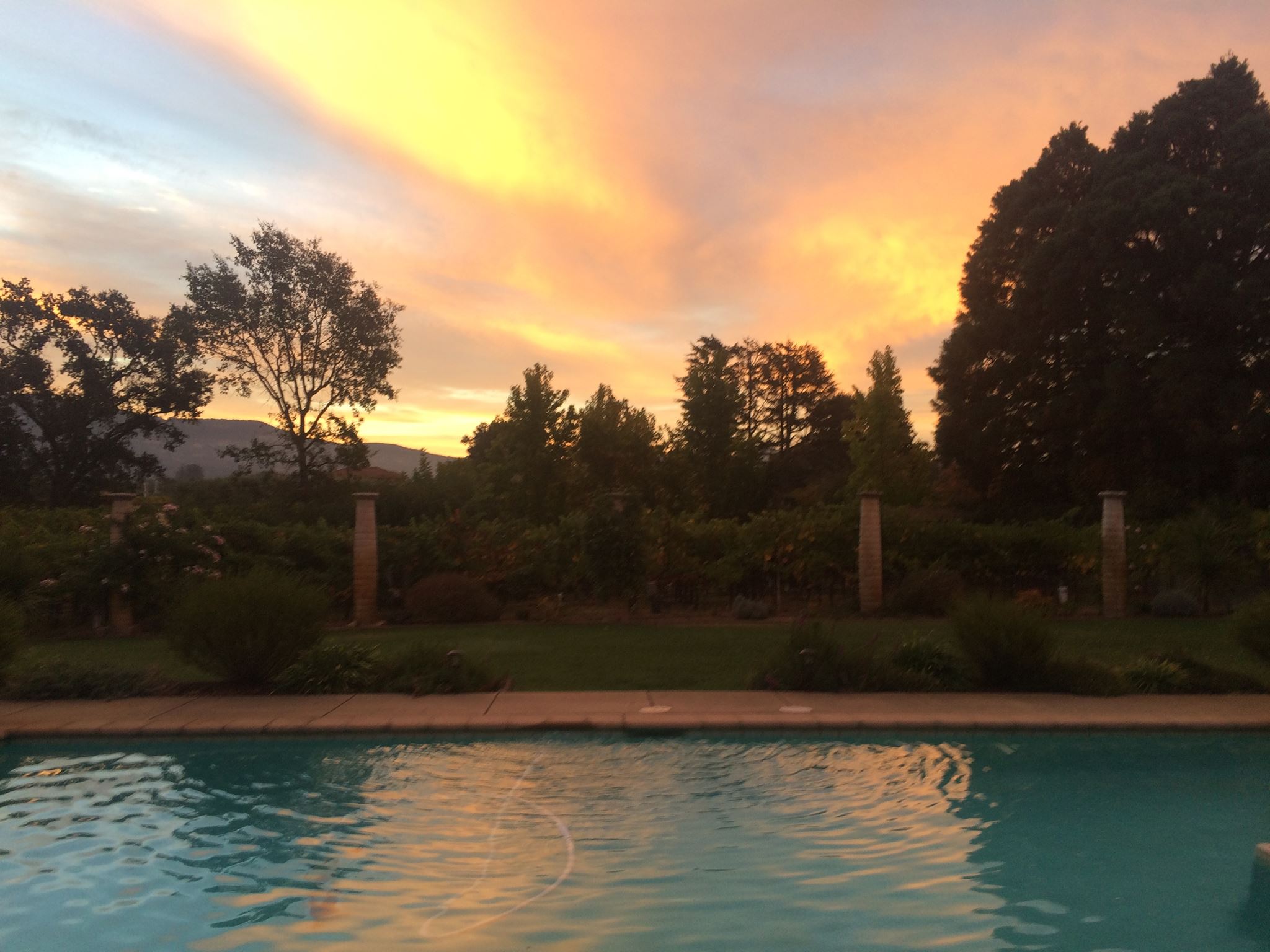 Antoniadis Estate Wine