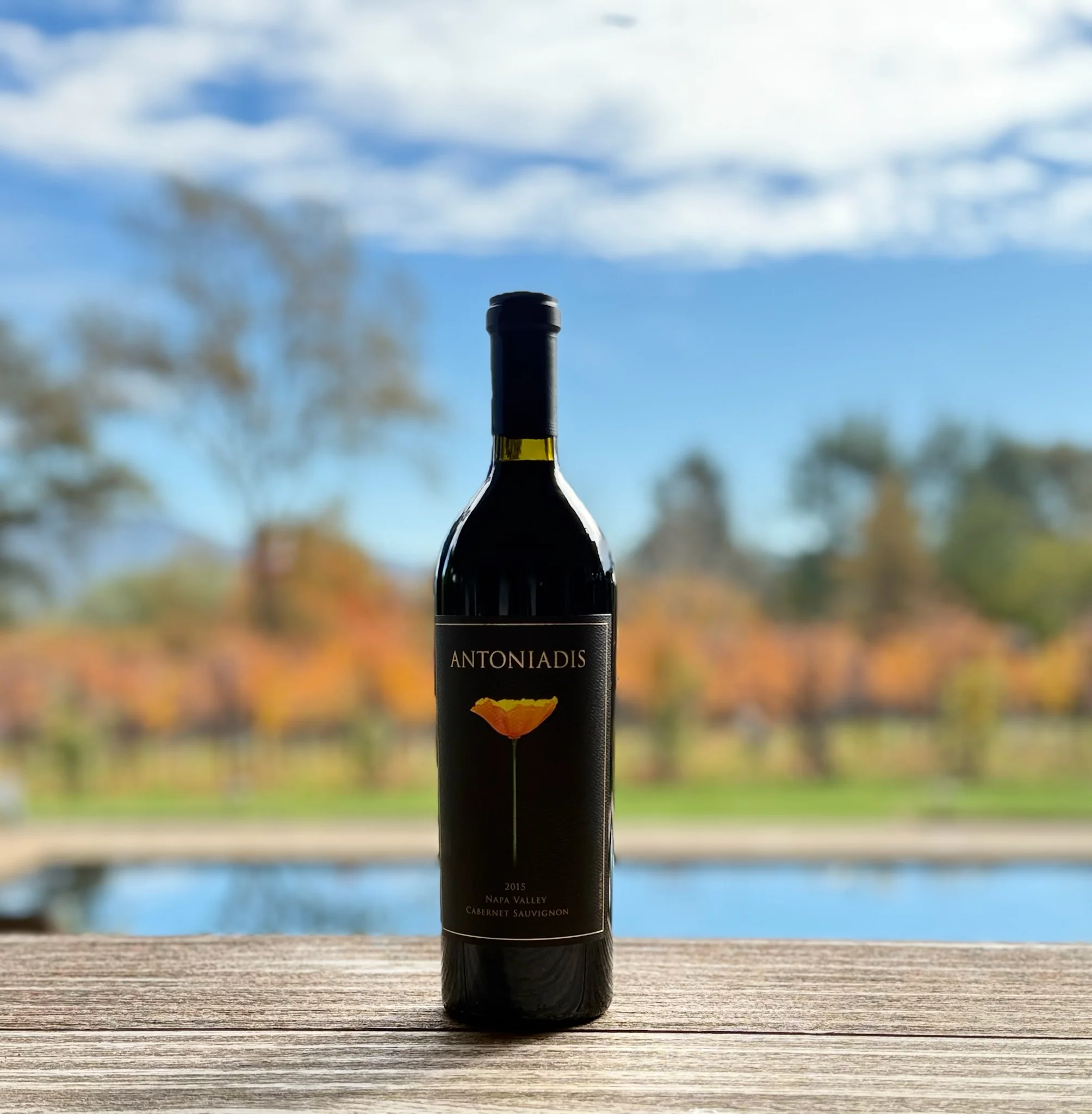 Antoniadis 2019 Cabernet Sauvignon with autumn vineyard reflections