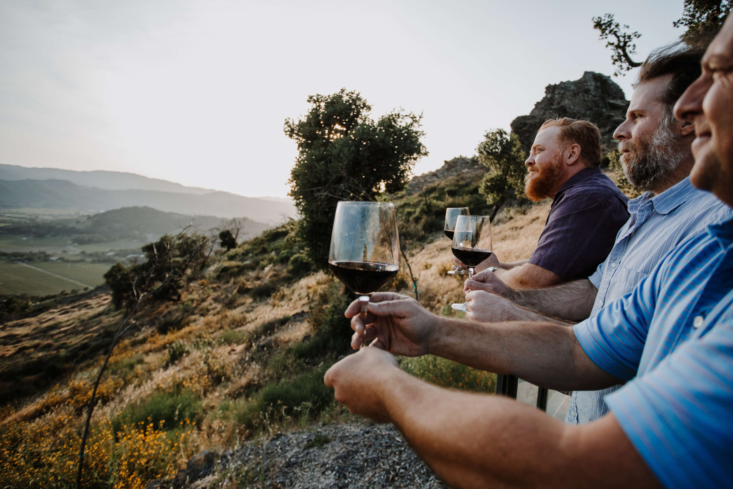 The Buoncristiani brothers overlooking Napa Valley from Soda Canyon