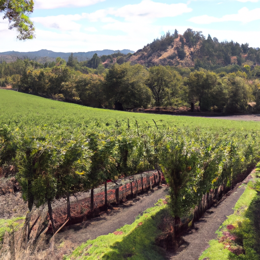 7 Incredible Wine Tours in Napa Valley from San Francisco